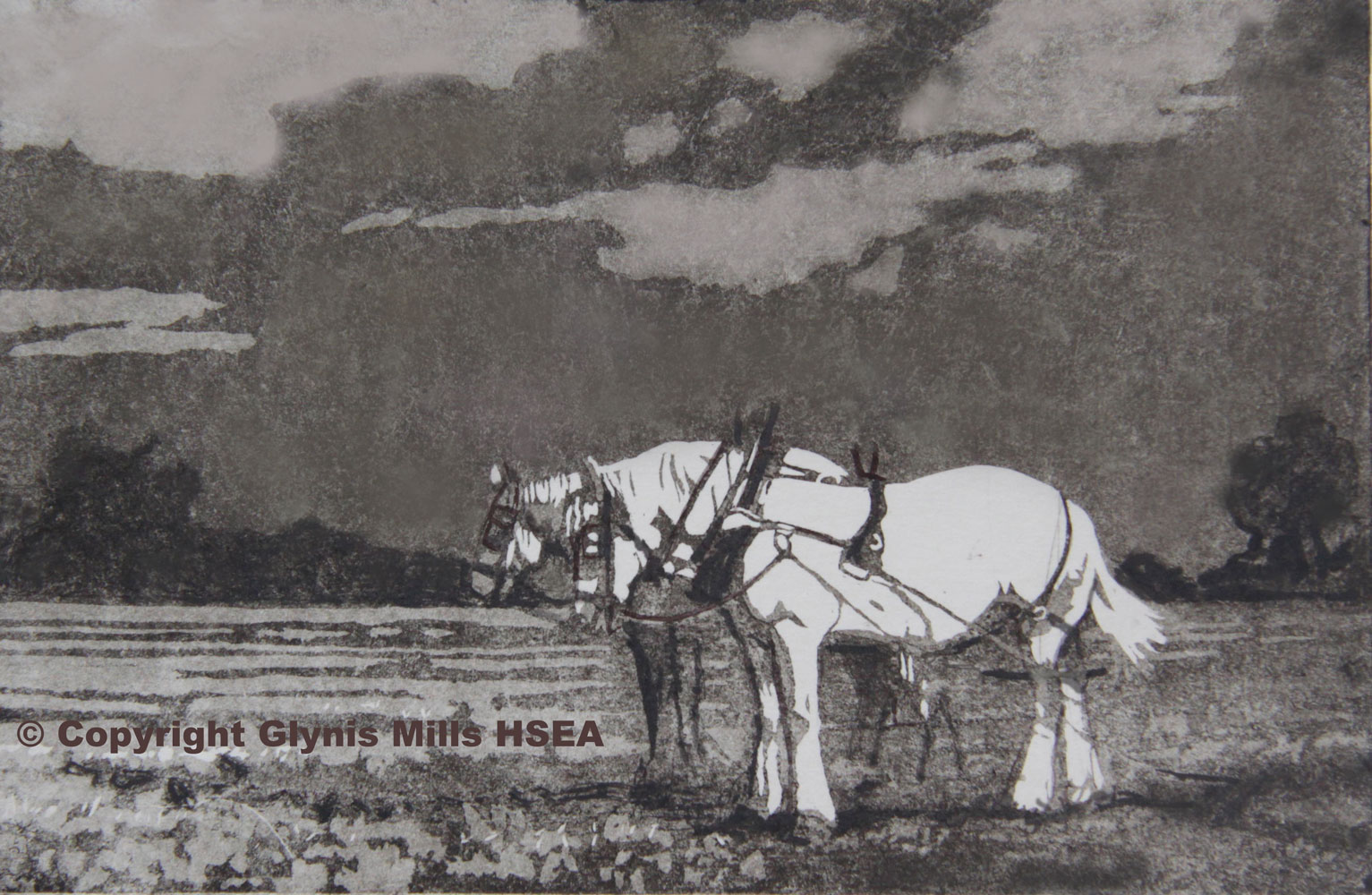 WGlynisMillsTeabreakAquatintEtching « Society of Equestrian Artists