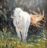 Dunbar equine painting mountain pony