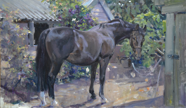 Susie Whitcombe HSEA