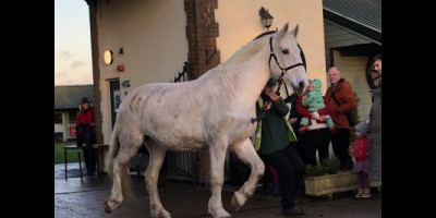 Horse Trust workshop